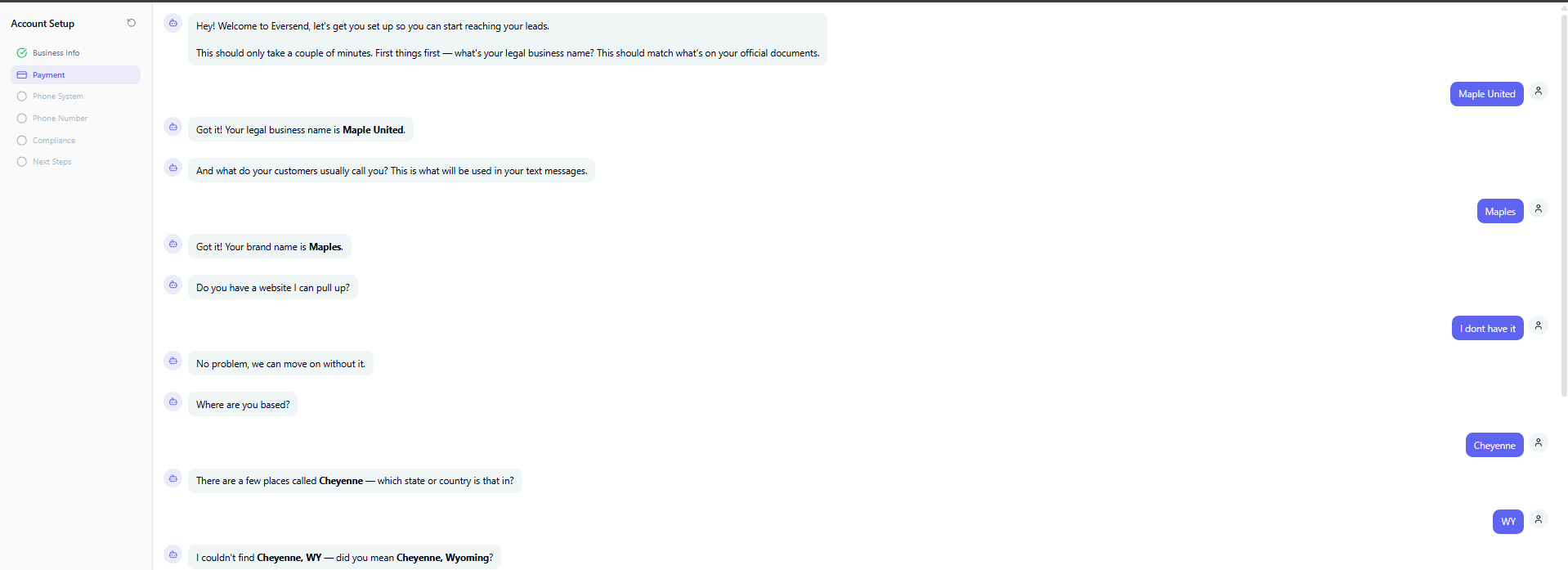 EVRSEND AI Setup Assistant welcome screen
